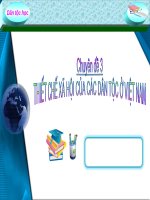 BÀI GIẢNG điện tử dân tộc học   THIẾT CHẾ xã hội của các dân tộc ở VIỆT NAM HIỆN NAY