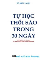 tự học thổi sáo trong 30 ngày thật dễ dàng pdf