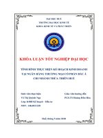 Tình hình thực hiện kế hoạch kinh doanh tại ngân hàng thương mại cổ phần bắc á – chi nhánh TT  huế 