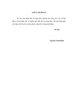 GIẢI PHÁP TỔ CHỨC THỰC THI CHÍNH SÁCH PHÒNG, CHỐNG THAM NHŨNG TẠI TỈNH ĐỒNG NAI