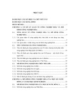 Mô hình công nghiệp hóa của một số nước Đông Á-Bài học kinh nghiệm và khả năng vận dụng vào Việt Nam