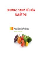 Sinh lý động vật, phan 2  tieu hoa   bai tiet nhiet  Tài liệu ôn tập chuyên đề GV 2018.