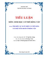 TÌM HIỂU SỰ XUẤT HIỆN VÀ TIẾN HÓA  CỦA HỆ TUẦN HOÀN Ở ĐỘNG VẬT