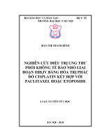 Nghiên cứu điều trị ung thư phổi không tế bào nhỏ giai đoạn IIIB, IV bằng hóa trị phác đồ cisplatin kết hợp với paclitaxel hoặc etoposide (FULL TEXT)