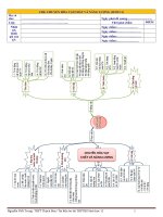 Tài liệu ôn thi THPTQG sinh 11  phần sinh lí thực vật, 2019