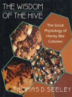 Thomas d  seeley the wisdom of the hive the Soc(BookZZ org) 