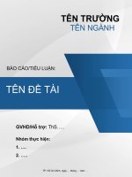 MẪU BÌA TIỂU LUẬN BÁO CÁO