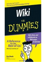 1695 wikis for dummies 