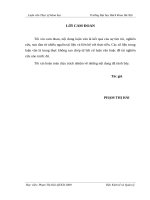 Nhu cầu vốn và các giải pháp huy động vốn đầu tư cho sự phát triển của Tổng công ty Thép Việt Nam-CTCP giai đoạn 2011-2015