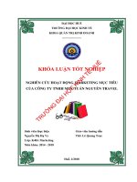 Nghiên cứu hoạt động marketing mục tiêu của công ty TNHH MTV tuấn nguyễn travel 