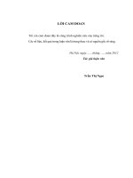 Phát triển hoạt động kinh doanh thẻ tại Ngân hàng TMCP Quốc Tế Việt Nam