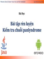 44 bài học bài tập rèn luyện 5 kiểm tra chuỗi panlyndrome 