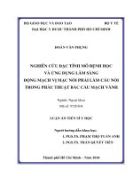Nghiên cứu đặc tính mô bệnh học và ứng dụng lâm sàng động mạch vị mạc nối phải làm cầu nối trong phẫu thuật bắc cầu động mạch vành (FULL TEXT)