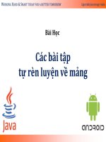 54 bài học bài tập tự rèn luyện 3  các bài tập tự rèn luyện về mảng 