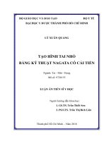 Tạo hình tai nhỏ bằng kỹ thuật Nagata có cải tiến (FULL TEXT)