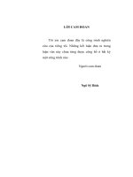Hoạt động  thu hút đầu tư trực tiếp nước ngoài vào tỉnh bắc ninh giai đoạn 1997 đến nay- thực trạng và giải pháp