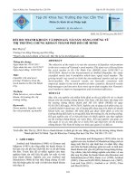 Rủi ro thanh khoản và định giá tài sản bằng chứng từ thị trường chứng khoán thành phố hồ chí minh