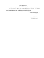 Giải pháp marketing nhằm phát triển dịch vụ internet banking tại Ngân hàng TMCP Đầu tư và Phát triển Việt Nam (BIDV)