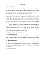 Thực trạng xây dựng nền dân chủ trong tiến trình cách mạng xã hội chủ nghĩa ở việt nam hiện nay 