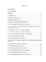 các thủ tục hành chính liên quan đến bảo vệ môi trường tại công ty cổ phần bia thanh hóa