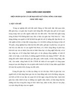 SKKN biện pháp quản lý chỉ đạo rèn kỹ năng sống cho học sinh tiểu học 