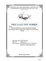 Tiểu luận xử lý tình huống trong công tác cấp giấy phép thiết lập trang thông tin điện tử tổng hợp tại sở thông tin và truyền thông hà nội  