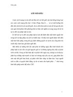 tiểu luận cao học pháp luật tư sản