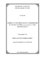Nghiên cứu tách nhóm lignan và triterpenoid từ cây rau gai thối (acacia pennata (l ) willd ) thu hái ở sơn la 