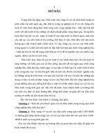 Vai trò của nhà nước đối với quá trình công nghiệp hoá hiện đại hoá