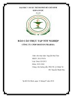 BÁO CÁO THỰC TẬP TỐT NGHIỆP CÔNG TY CPDP BOSTON
