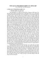 TỔNG QUAN TÌNH HÌNH NGHIÊN CỨU DÒNG RIP (TS. Lê Đình Mầu, Viện Hải dương học)