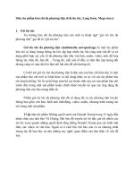 Siêu tác phẩm báo chí đa phương tiện