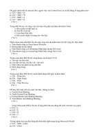 Dinh dang 40 cau ra de thi tin hoc van phong