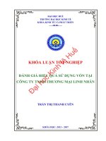 Đánh giá hiệu quả sử dụng vốn tại công ty TNHH thương mại linh nhân 