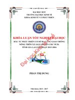 Đầu tư phát triển cơ sở hạ tầng giao thông nông thôn xã iale huyện chư pưh  tỉnh gia lai giai đoạn 2013 2016 