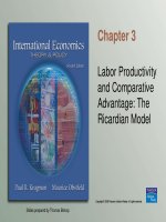 Chapter 3  Labor Productivity and Comparative Advantage: The Ricardian Model