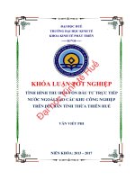 Tình hình thu hút vốn đầu tư trực tiếp nước ngoài vào các khu công nghiệp trên địa bàn tỉnh thừa thiên huế 