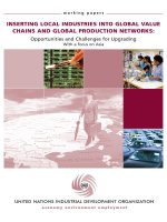 INSERTING LOCAL INDUSTRIES INTO GLOBAL VALUE CHAINS AND GLOBAL PRODUCTION NETWORKS:  Opportunities and Challenges for Upgrading  With a focus on Asia