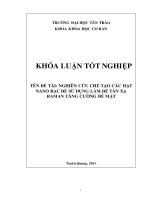 Nghiên cứu chế tạo các hạt nano bạc bằng phương pháp lắng đọng hóa học và điện hóa để sử dụng làm đế tán xạ raman tăng cường bề mặt (SERS)