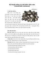 GIÁO TRÌNH   kỹ thuật trồng và chế biến nấm rơm (nguyễn tuấn phong)