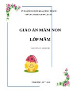 BÌA GIÁO ÁN MẦM NON ĐẸP  NHẸ NHÀNG