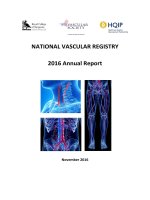 NATIONAL VASCULAR REGISTRY 2016 Annual Report