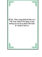 thực trang phân bố dân cư ở Việt Nam ( bài tập lớn xã hội học)