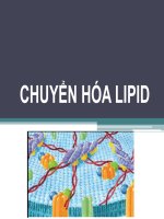 chuyển hóa lipit 