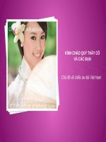 Tiểu luận lịch sử áo dài việt nam