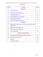 REN KN NHAN BIET, VE, PHAN TICH BIEU DO 1.DOC