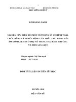 Nghiên cứu biến đồi một số thông số về hình thái, chức năng và huyết động của thất trái bằng siêu âm Doppler tim ở phụ nữ mang thai bình thường và tiền sản giật (TT)