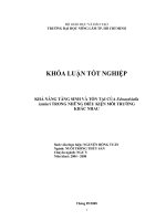 KHẢ NĂNG TĂNG SINH VÀ TỒN TẠI CỦA Edwardsiella ictaluri TRONG NHỮNG ĐIỀU KIỆN MÔI TRƯỜNG KHÁC NHAU