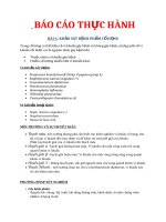 báo cáo vi sinh bài 6 