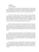 tiểu luận thực trạng, phương hướng và giải pháp trong việc thực hiện chính sách xã hội ở xã long sơn, huyện sơn động giai đoạn hiện nay 